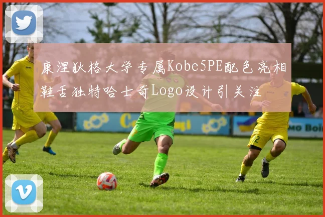 康涅狄格大学专属Kobe5PE配色亮相鞋舌独特哈士奇Logo设计引关注