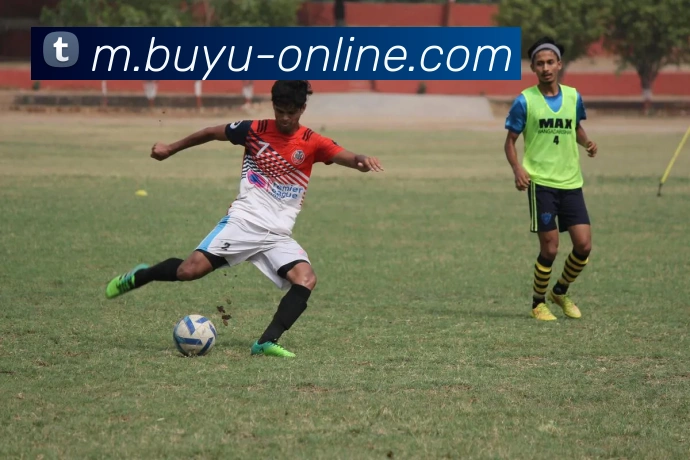 线上捕鱼平台平台生态图